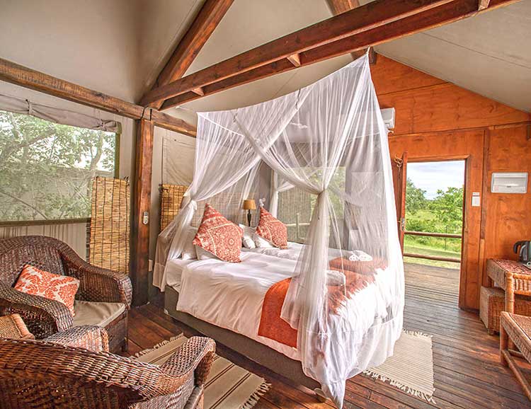Nkambeni Safari Camp Luxury Tent