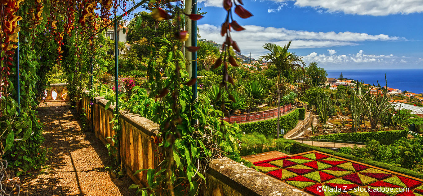 TBotanischer Garten in Funchal