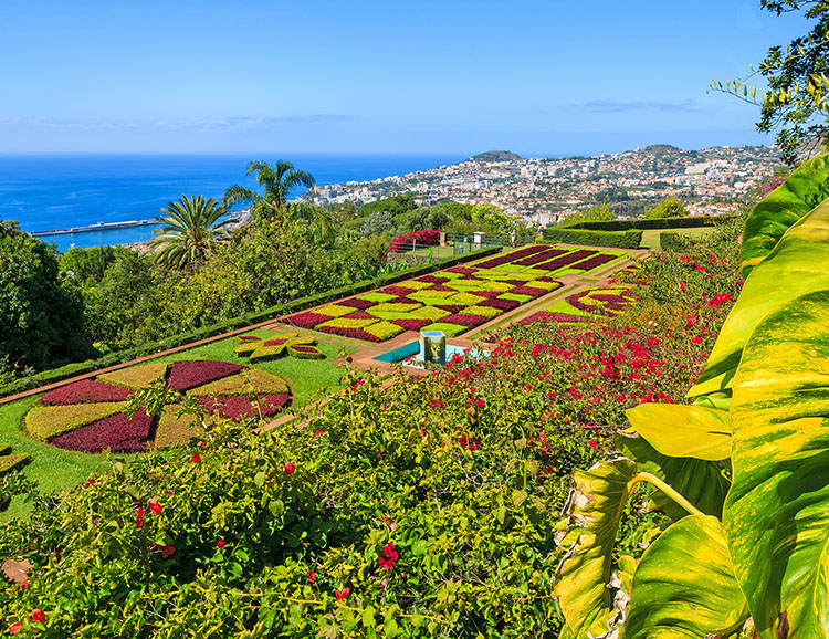 Der Botanische Garten bei Funchal