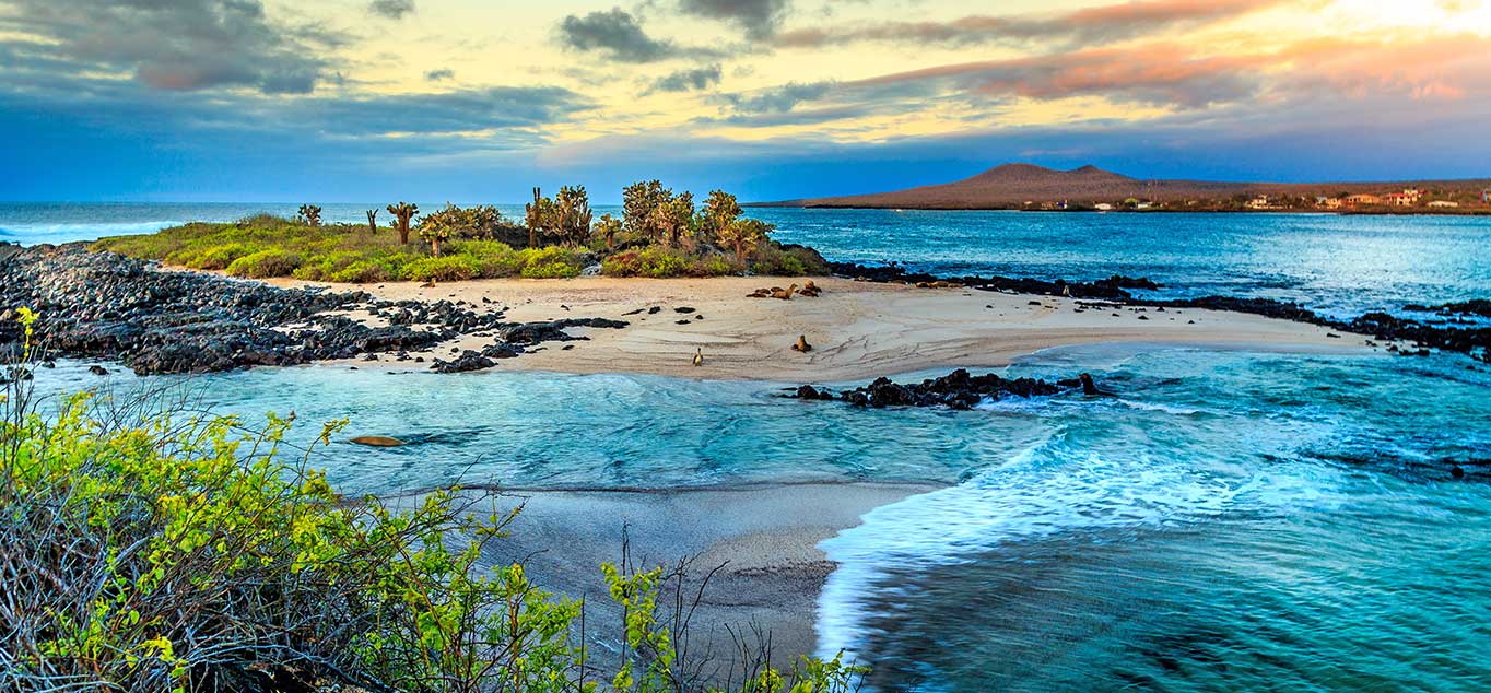 Galapagos-Inseln