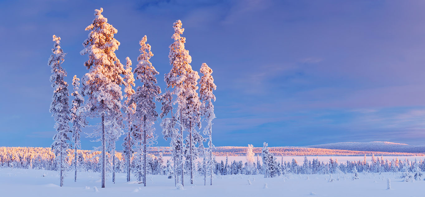 Finnland - Geheimtipp: Winterwunder in Iso-Syöte
