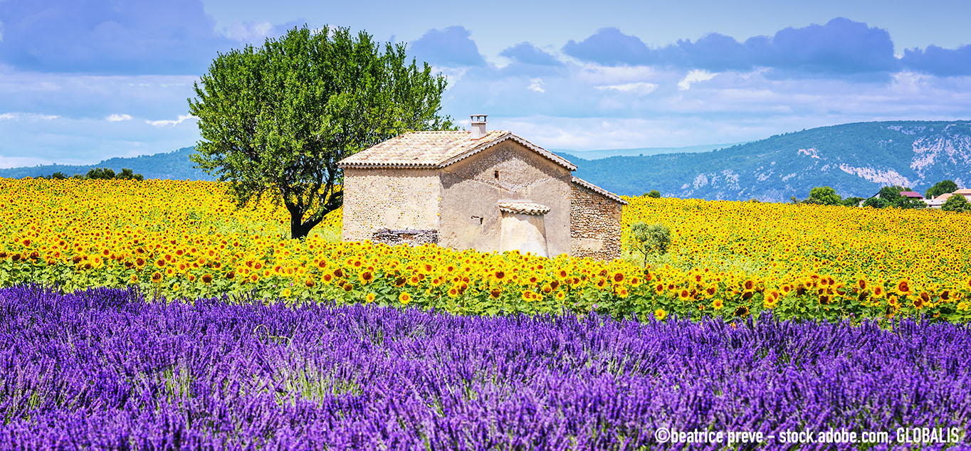 Die Farben der Provence